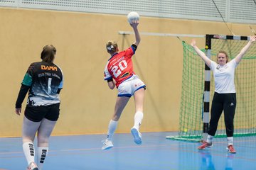 Bild 167 - wBJ HC Quickborn - HSG Tills Loew. : Ergebnis: 19:20